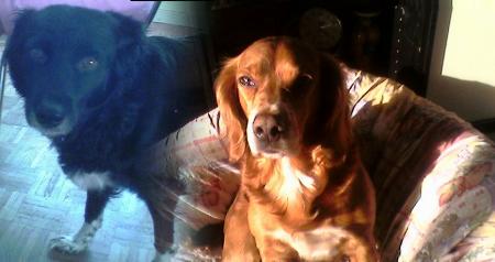 CIGANO & FANNY